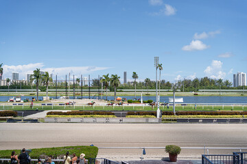 Fototapeta na wymiar Carreras de caballos en un hipódromo del Estado de Florida en los Estados Unidos de América. 