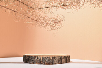 A showcase made of natural wood, natural shadows and dried flowers.
