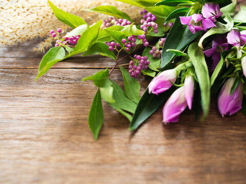 紫式部images Browse 380 Stock Photos Vectors And Video Adobe Stock