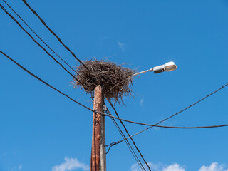 Low angle shot of a stork nest on a lamppost with wooden pole and wires around it, against a blue sky