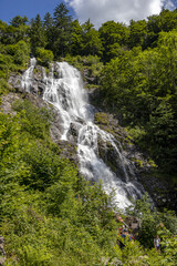 Obraz na płótnie Canvas Wasserfall mit Felsen und grünen Bäumen