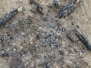 An extinct bonfire. Ash. Unburned log.