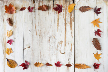 Autumn rustic frame made of colorful leaves on a rustic wood paneling with some copyspace in the middle