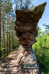 Lämmerfelsen im Wasgau