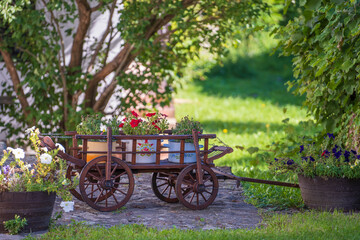 Fototapeta na wymiar Garden composition with wooden rustic cart with bright flowers in the yard, Hungary