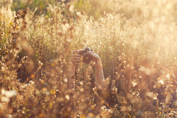 Woman hidden in tall grass field holding camera in hands and taking pictures, sunshine golden hour