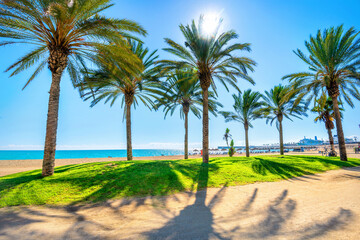 Fototapeta na wymiar Malagueta beach in Malaga. Andalusia, Spain