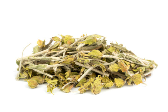 dried fresh Albania Mountain Tea - Caj Mali - Sideritis Raeseri