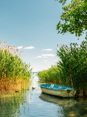 An old small boat in the reeds on the lake Balaton in summer.