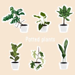 Set of cute cartoon hand drawn houseplants stickers.