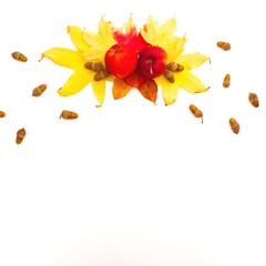 Fototapeta premium Autumnal composition with fall leaves, apple, pine cones on white background. Thanksgiving day concept. Flat lay