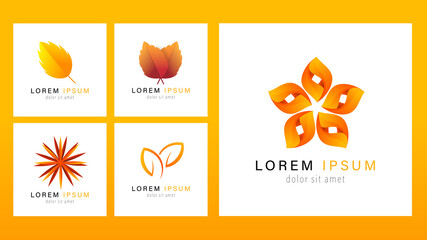 Set Logo Orange Autumn Leaf  Flat Modern design isolated on white background , illustration Vector EPS 10