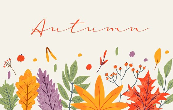 Banner template decorated with autumn trendy elements and text. falling leaves berry and mushroom. Scrapbook set of fall season elements. Flat natural vector illustration for advertisement, promotion