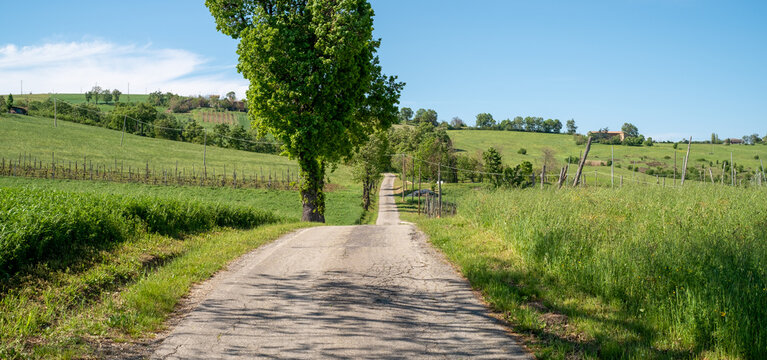 Country road on the hills of Bologna province near Castello di Serravalle, Valsamoggia municipality, Emilia Romagna, Italy.