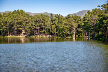 Bassa d'Oles in Vielha Mitg Aran village in the Pyrenees in the Aran Valley, Spain. Place with lake to walk and relax.