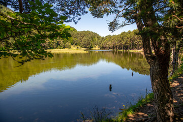 Bassa d'Oles in Vielha Mitg Aran village in the Pyrenees in the Aran Valley, Spain. Place with lake to walk and relax.