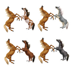 silhouette, cheval, combat, étalon ,  vecteur, animal, illustration, animal, sauvage, icône, ferme, course, animal de compagnie, nature, collection, conception, symbole, faune, art, mammifère