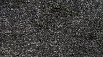 Scary dark wall, dark texture for background