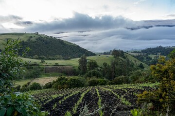 Fototapeta na wymiar Sunrise with rural landscape in Nemocón, Cundinamarca.