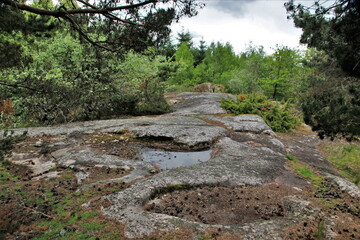 Rochers à cupules à Clédat (Corrèze)