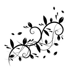 swirl floral ornament hand drawn for vintage decoration isolated on white background