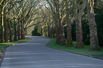 Fototapeta premium road to nowhere