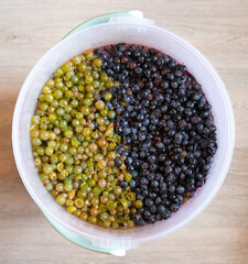 Grape pulp for winemaking
