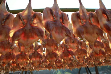 Duck meat in the sun