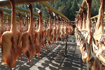 Duck meat in the sun