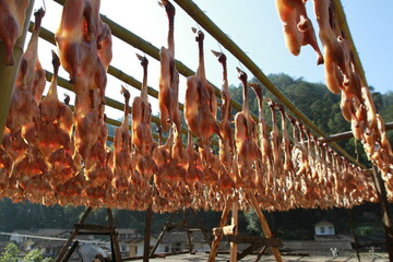 Duck meat in the sun