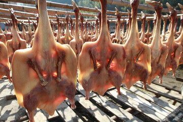 Duck meat in the sun