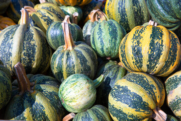 Assortment of kakai pumpkin in local seasonal market.