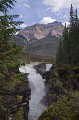 Athabasca Falls on a Late Summer Day