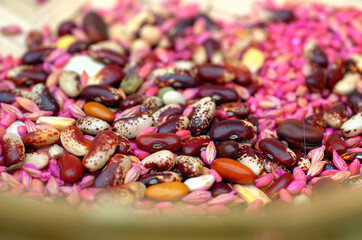Granos
Grains