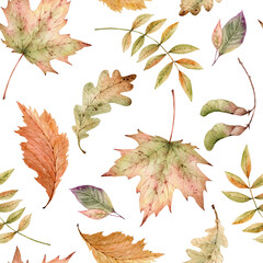 seamless pattern with design of leaves of forest plants, hand painted watercolor.