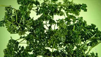 Super slow motion of fresh parsley flying in the air, close-up.