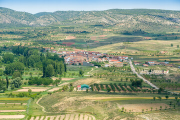 Fototapeta na wymiar The historic town of Moya on hill during the flowering of the ferula communis flowers in June 2021 Cuenca Castile La Mancha Spain