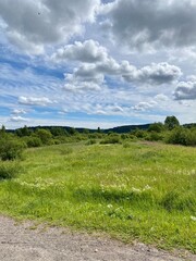 Fototapeta premium Deserted path in the summer forest, blue sky, green grass, trees