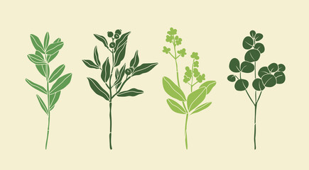 Set of four various Branches with Leaves and Berries. Abstract elegant floral drawing. Hand drawn trendy Vector illustration. All elements are isolated. Perfect For your own decoration or design