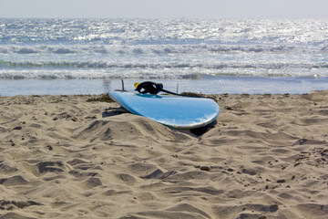 Obraz premium beautiful beach in san diego california, america in summer