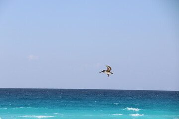 Cancun-mexico hotel zone August 22, 2017