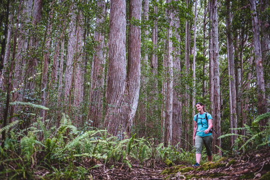 smiling woman hiker hikes through forest in hamakua forest reserve