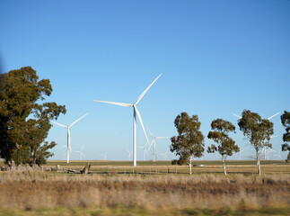 Wind turbines in the field