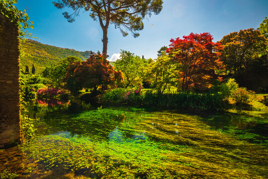 Ninfa Bilder Durchsuchen 1,606 Archivfotos, und Videos
