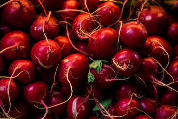 Radishes