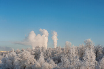 Winter landscape with frosty trees and smoke of factories.