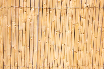 vertical stripe wood texture background