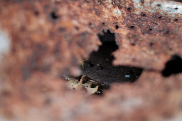 Defocused abstract background of rusty metal with holes