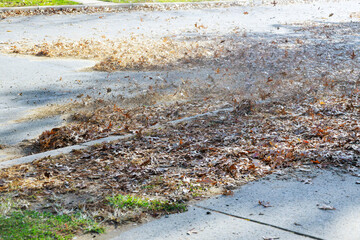 Outdoor worker clean the fallen leaves on the road by blower in autumn