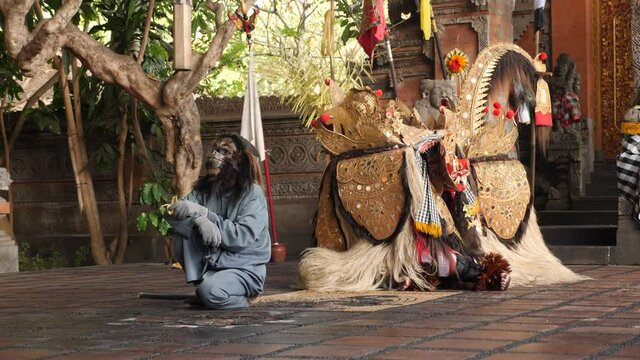 Traditional Indonesian Barong Dance with a lion and a monkey. Balinese mythology with the demonic witch Rangda.